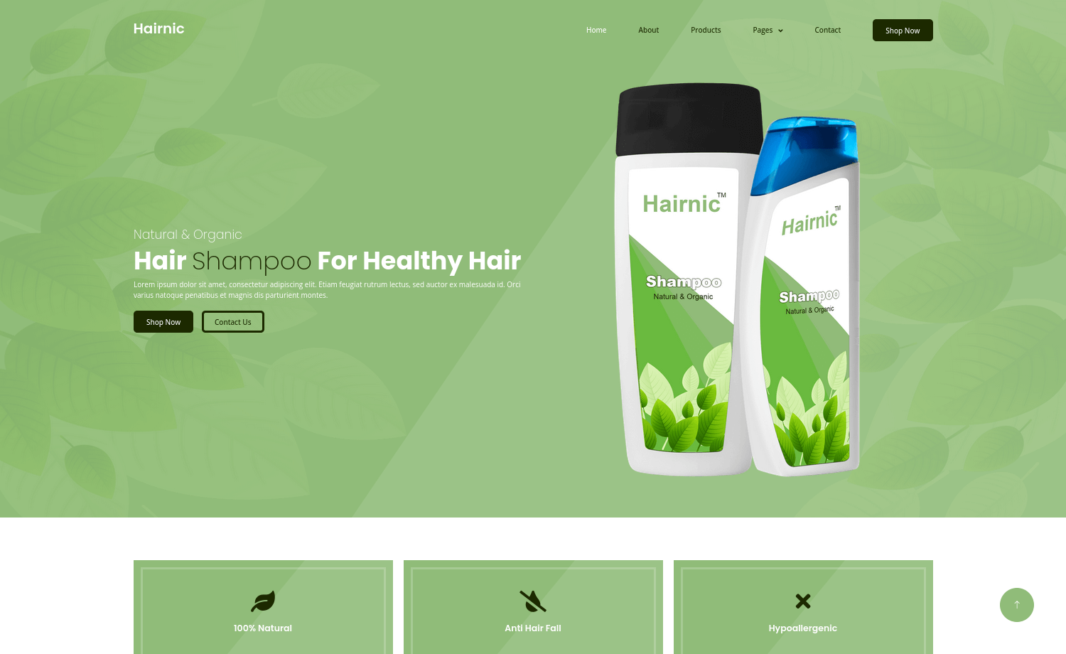 Hairnic – 免费的Bootstrap 5商务公司网站模板