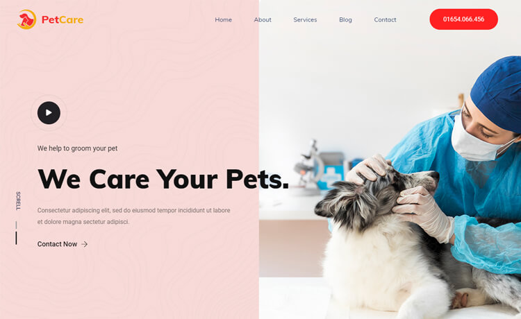 PetCare – 免费Bootstrap 4 HTML5 宠物诊所网站模板