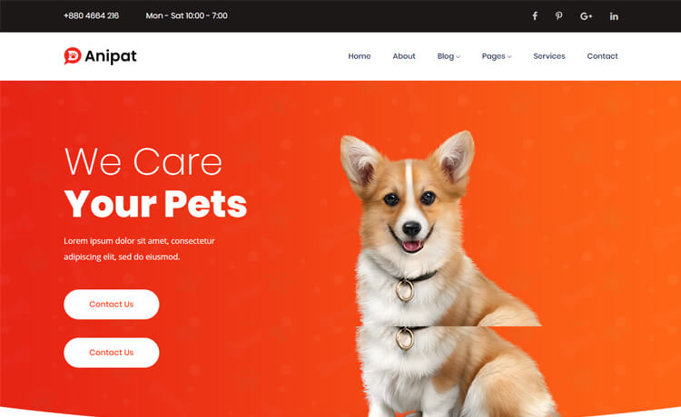 Anipat – 免费 Bootstrap 4 HTML5 宠物护理网站模板