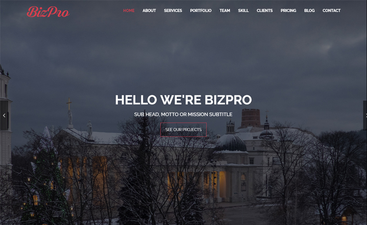 BizPro – 免费Bootstrap HTML5单页商业网站模板